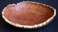 Coolabah Burl Natural Edged Bowl II - 
	Another bowl with a bleached natural edge
