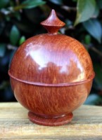 Lace Sheoak Ring Box - 
	This box is made from the &quot;Lace&quot; variety of Western Austral